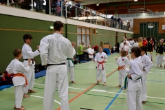 DSC_2560-Kopie